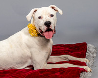 Foster Molly-3729