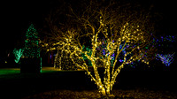 Christmas-2552