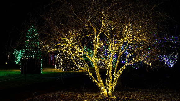 Christmas-2552