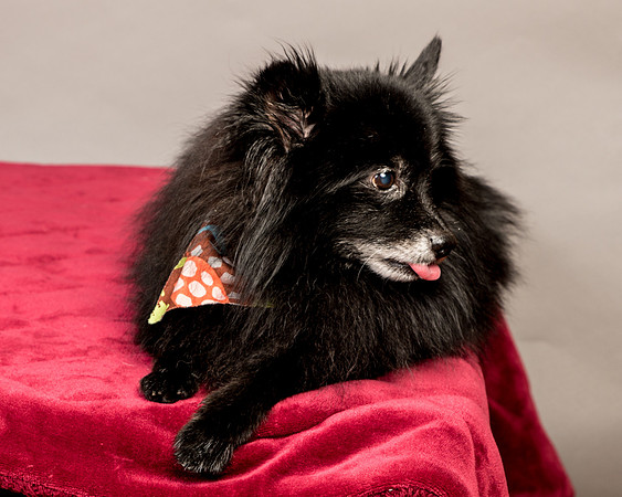 Foster Wayne-7923