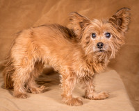 Foster Nessa-5624