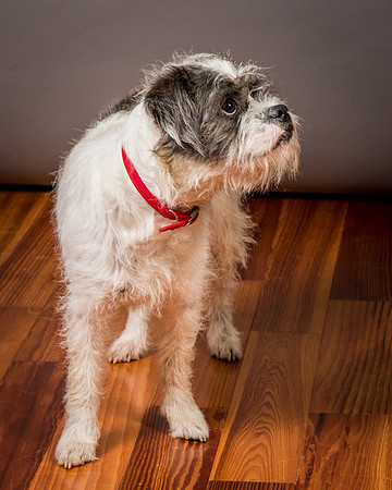 Foster Leeza-2840