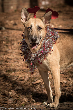 Foster Rita-2446