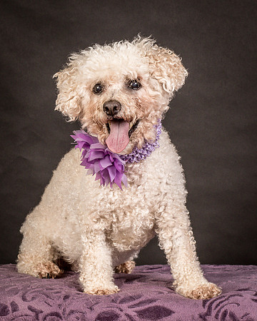 Foster Mae-9167
