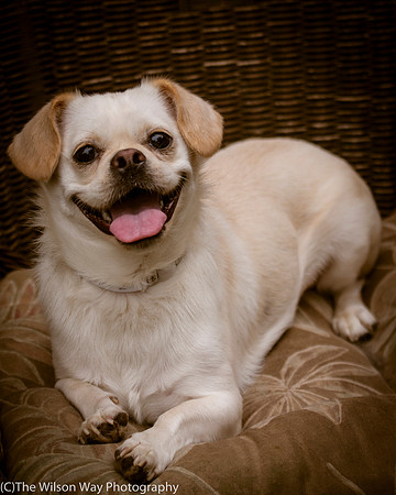 Foster Bonnie-3000