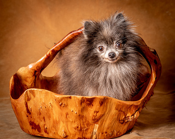 Foster Loretta-1332