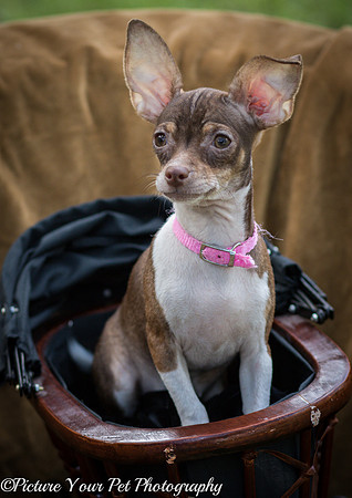 Foster Joanie-3793
