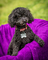 Foster Mindy-7348