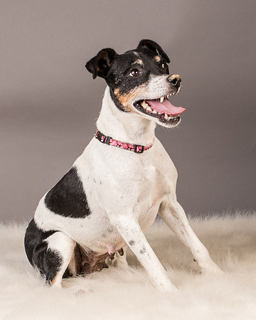 Foster Pollyanna-3901