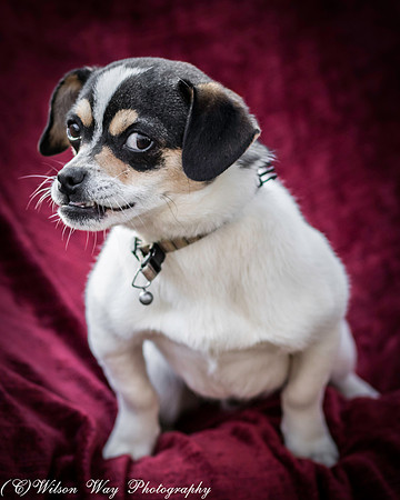 Foster Jethro-2
