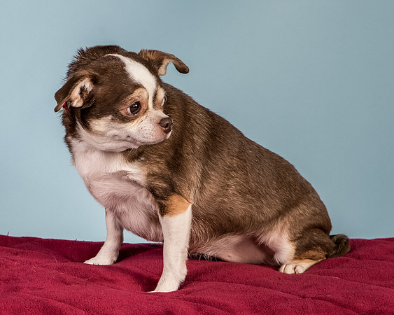 Foster Sophie-5206