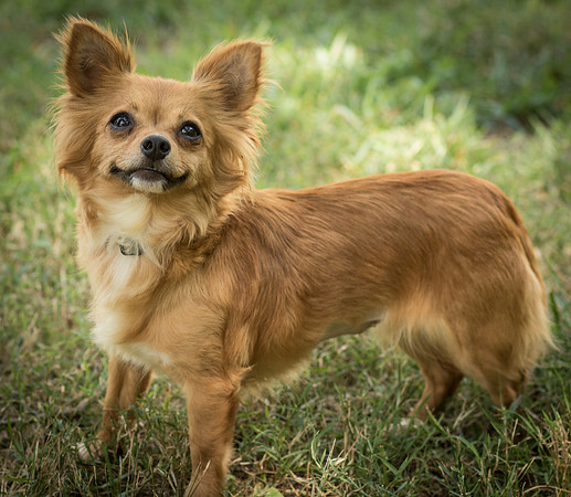 Foster Dolly-7784