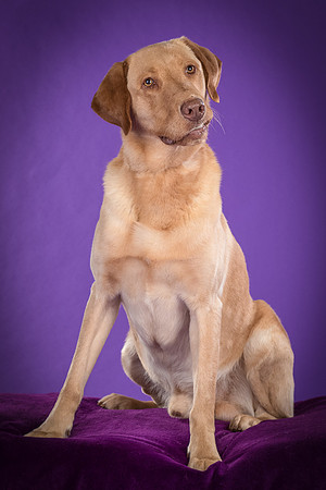 Foster Fred-5985