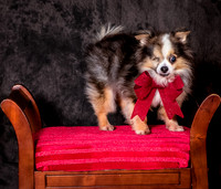 Foster Gabe-4401