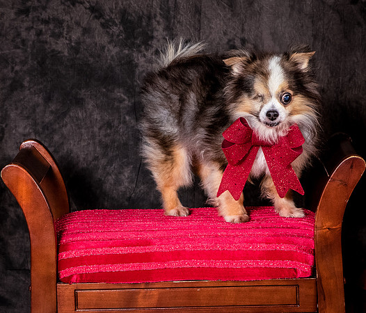 Foster Gabe-4401