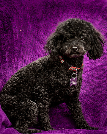 Foster Mindy-7318