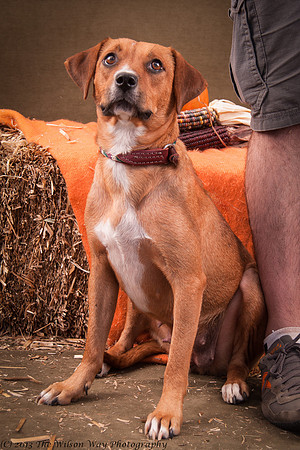 Foster Thelma-6979