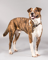 Foster Coolidge-3090