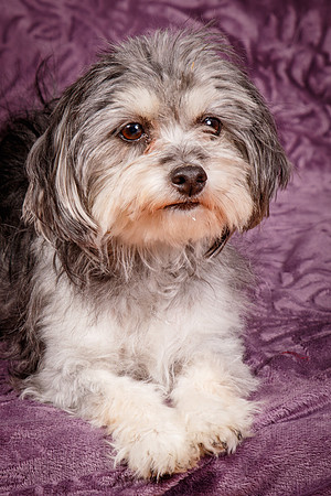 Foster Alex-6269