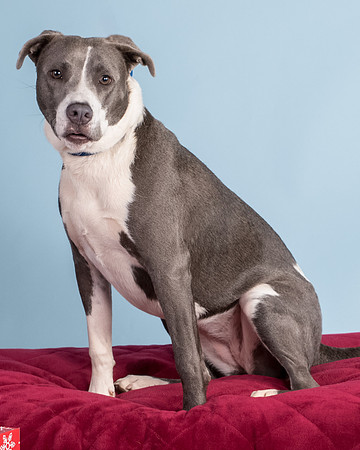 Foster Juliana-8106