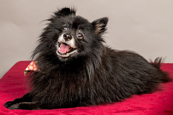 Foster Wayne-8032