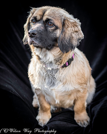 Foster Trudy-19