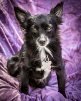 Foster Julio-6279