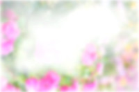 Frame_1