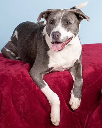 Foster Juliana-8119