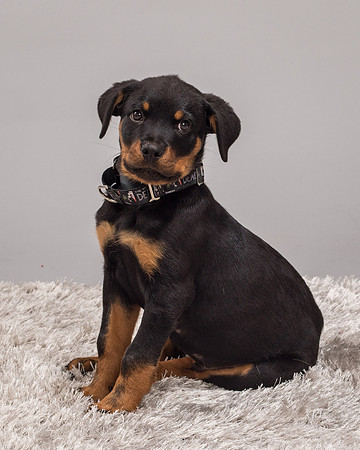 Foster Titus-7691