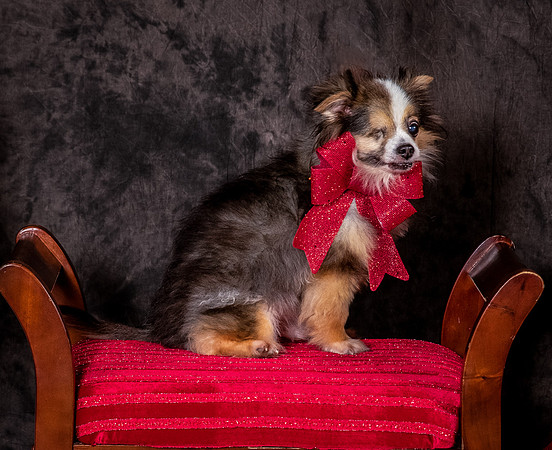 Foster Gabe-4432