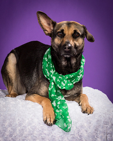 Izzy-2202