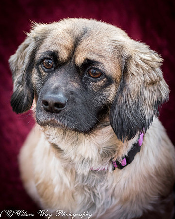 Foster Trudy-35
