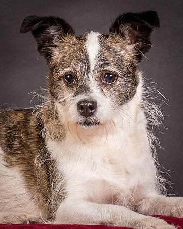 Foster Sinclair-9722
