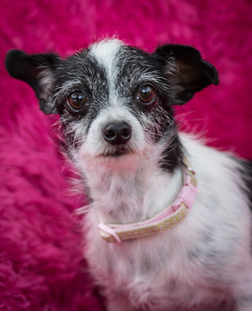 Foster Olive-7620