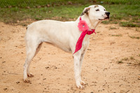 Carley-1126