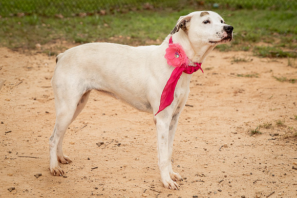 Carley-1126