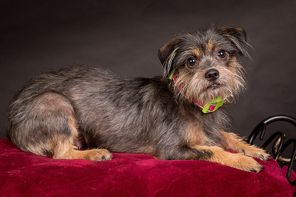 Foster Nadine-9635