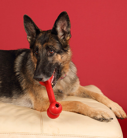 Gretchen-4341