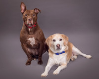 Red and Max Griner-