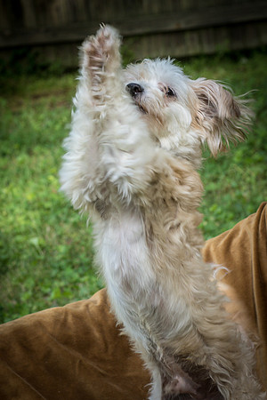 Foster Ricardo-8685