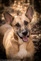 Foster Rita-2490