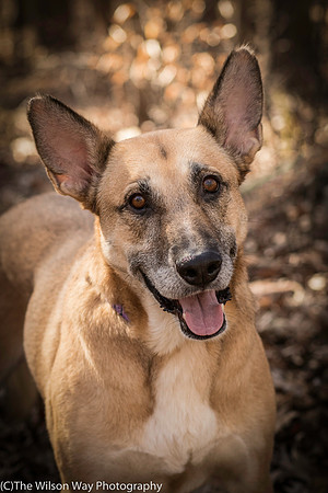 Foster Rita-2490