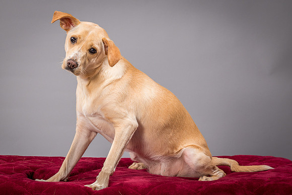 Foster June-3542