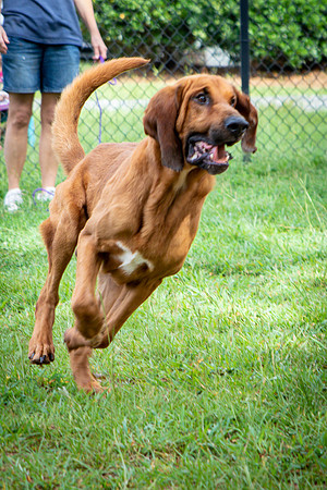 Roscoe-0636