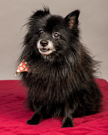 Foster Wayne-7861