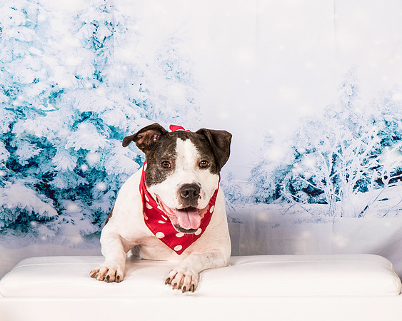Foster Duke-0501