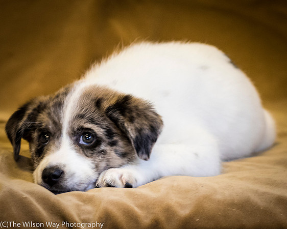 Foster Mira Jane-0351
