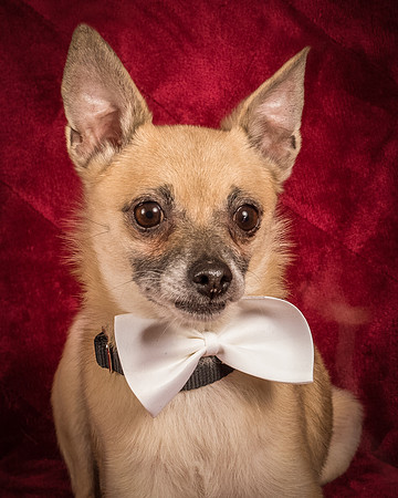 Foster Kiwi-8699