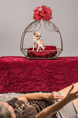 Foster Skippy-2249